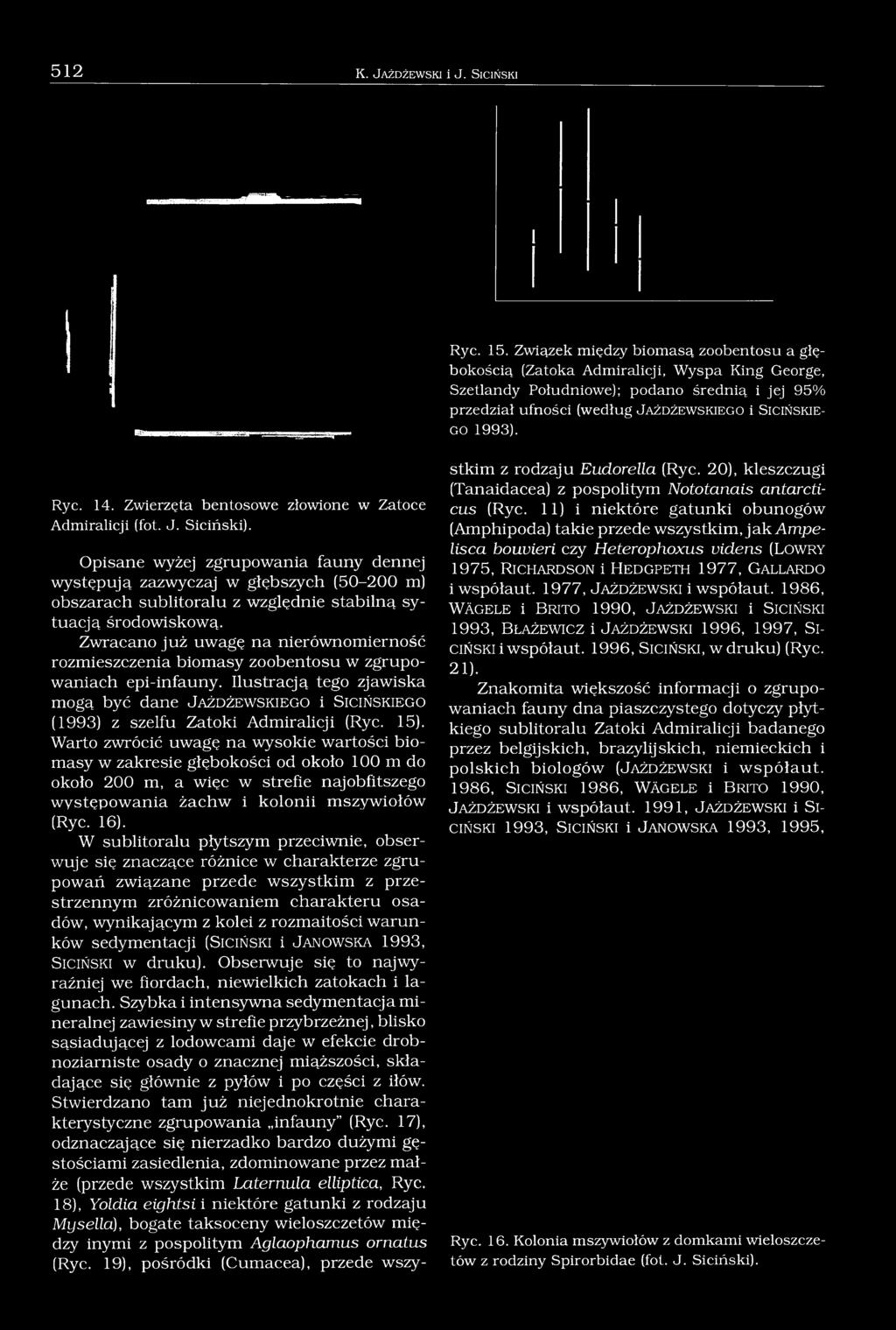 k ie g o 1993). Ryc. 14. Zwierzęta bentosowe złowione w Zatoce Admiralicji (fot. J. Siciński).