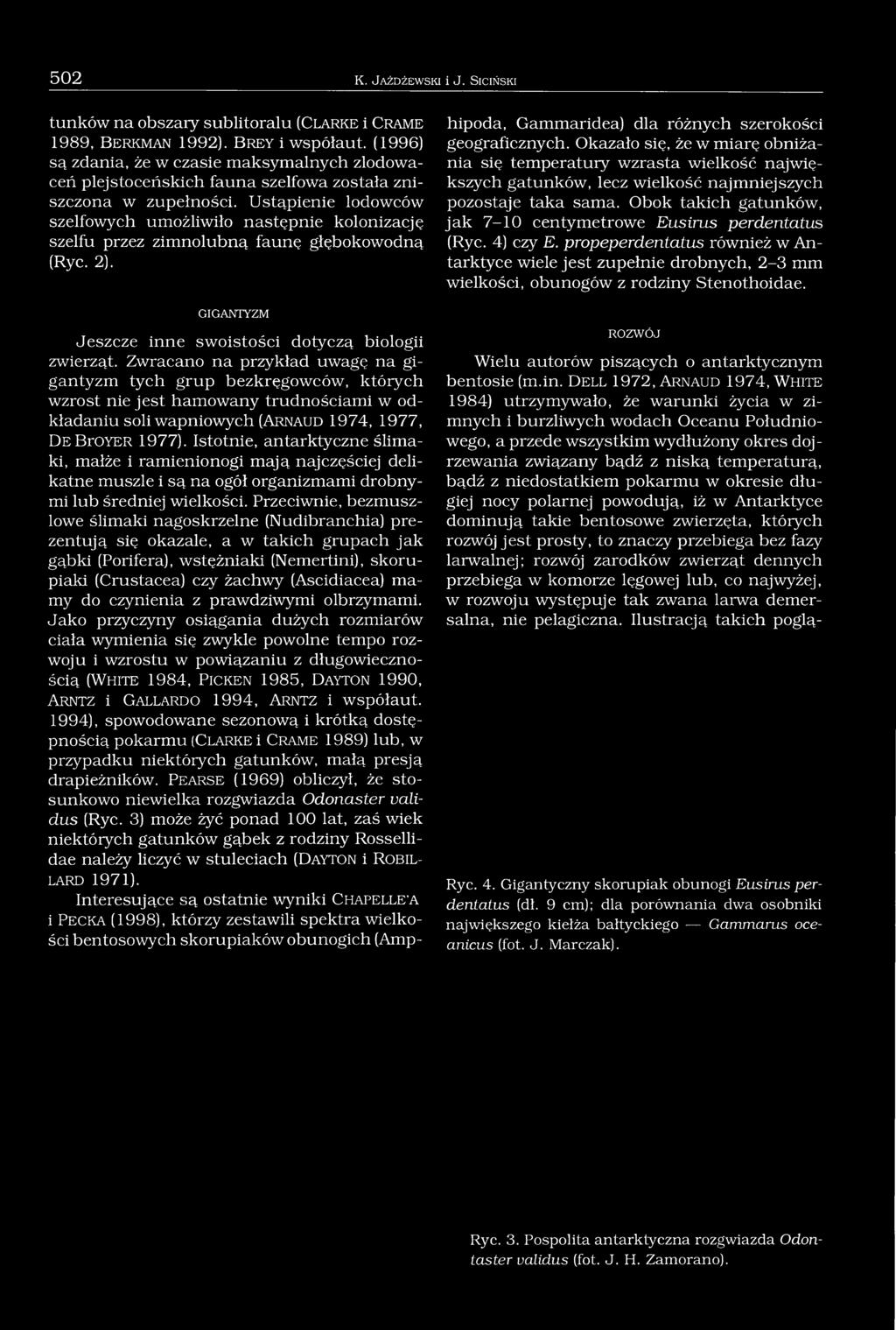 Ustąpienie lodowców szelfowych umożliwiło następnie kolonizację szelfu przez zimnolubną faunę głębokowodną (Ryc. 2). GIGAJNTTYZM Jeszcze inne swoistości dotyczą biologii zwierząt.