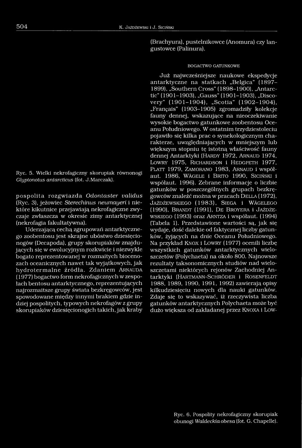3), jeżowiec Sterechinus neumayeri i niektóre kikutnice przejawiają nekrofagiczne zwyczaje zwłaszcza w okresie zimy antarktycznej (nekrofagia fakultatywna).