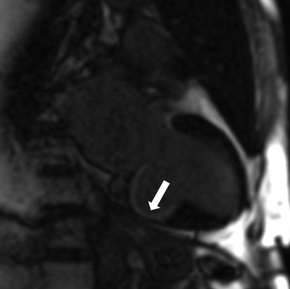 Ryc. 1.