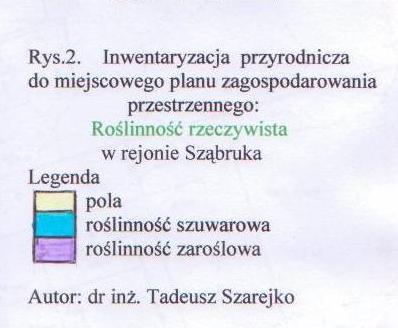 Dominuje rajgras wyniosły (Arrhenatherum elatius), kupkówka pospolita (Dactylis glomerata), tymotka łąkowa (Phleum pratense), kostrzewa czerwona (Festuca rubra), przy znacznym udziale takich