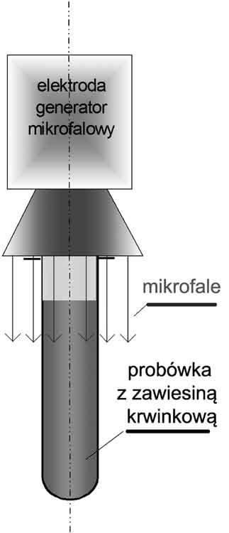 Henrykowska G i wsp. Ocena wpływu na organizm człowieka mikrofal generowanych przez elektrody aktywne.