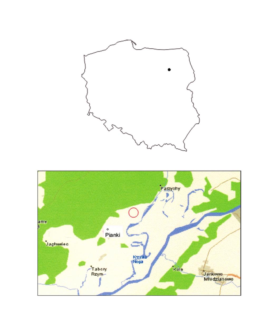 Materiały ceramiczne kultury niemeńskiej... 39 Rycina 1.
