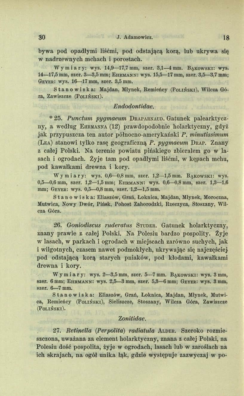 30 J. Adamowicz. 18 bywa pod. opadłymi liśćmi, pod odstającą korą, lub ukrywa się w nadrzewnych mchach i porostach. Wymiary: wys. 14,9 17,7 mm, szer. 3,1 4 mm. B y k o w s k i: wys. 14 17,5 mm, szer.