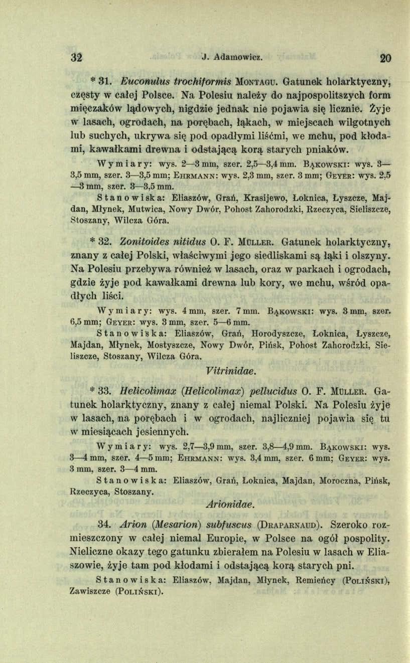 32 J. Adamowicz. 20 * 31. Euconulus trochiformis M ontagu. Gatunek holarktyczny, częsty w całej Polsce.