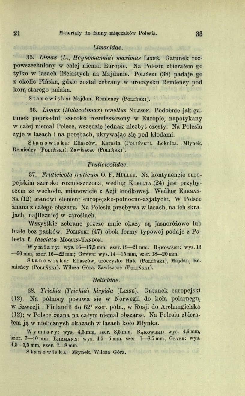21 Materiały do fauny mięczaków Polesia. 33 Limacidae. 35. TJmax (L., Heynemanmai) maximus L in n é. Gatunek rozpowszechniony w całej niemal Europie.