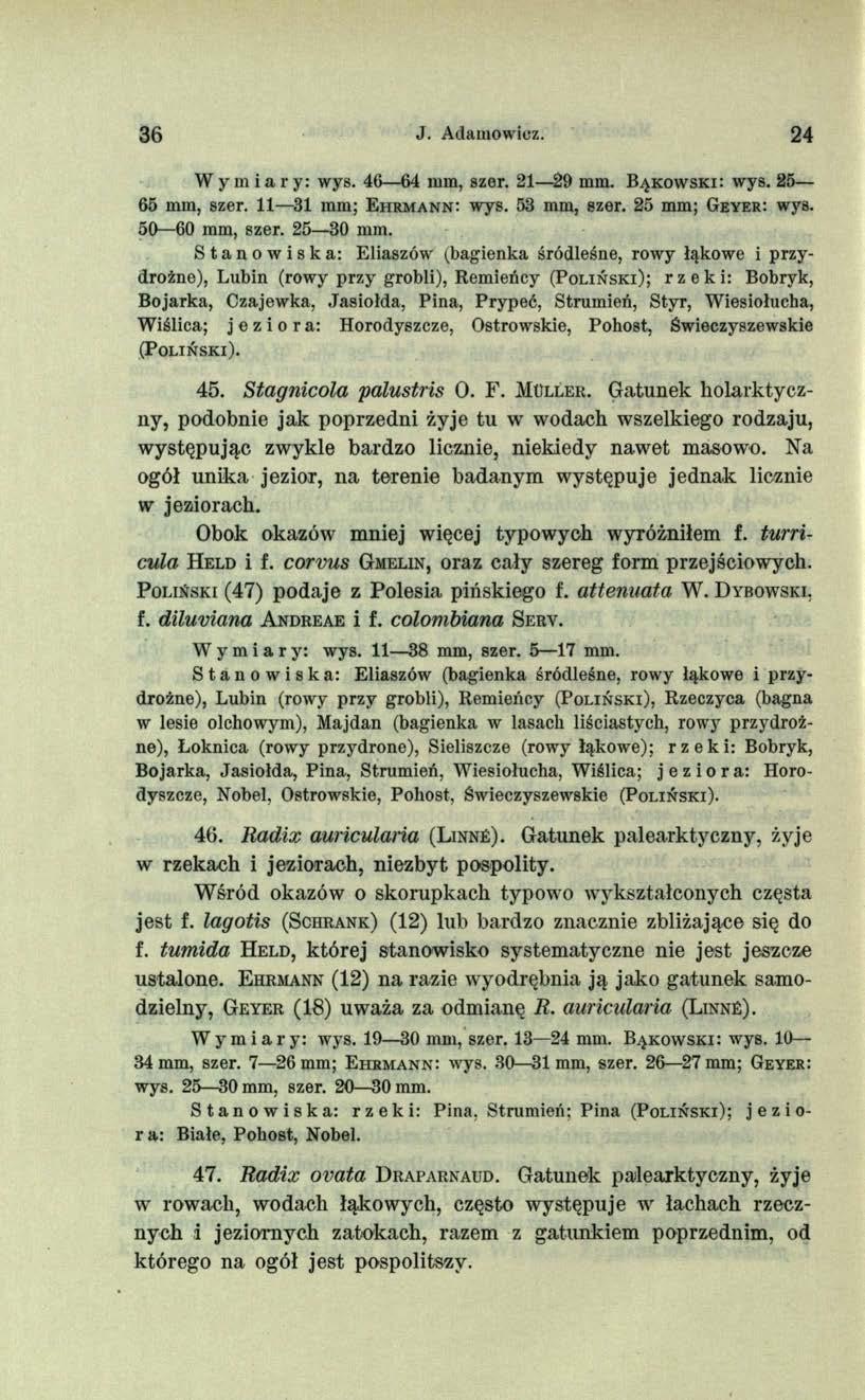 36 J. Adamowicz. 24 Wymiary: wys. 46 64 mm, szer. 21 29 mm. B y k o w s k i: wys. 25 65 mm, szer. 11 31 mm; E h r m a n n : wys. 53 mm, szer. 25 mm; Ge y e r: wys. 50 60 mm, szer. 25 30 mm.