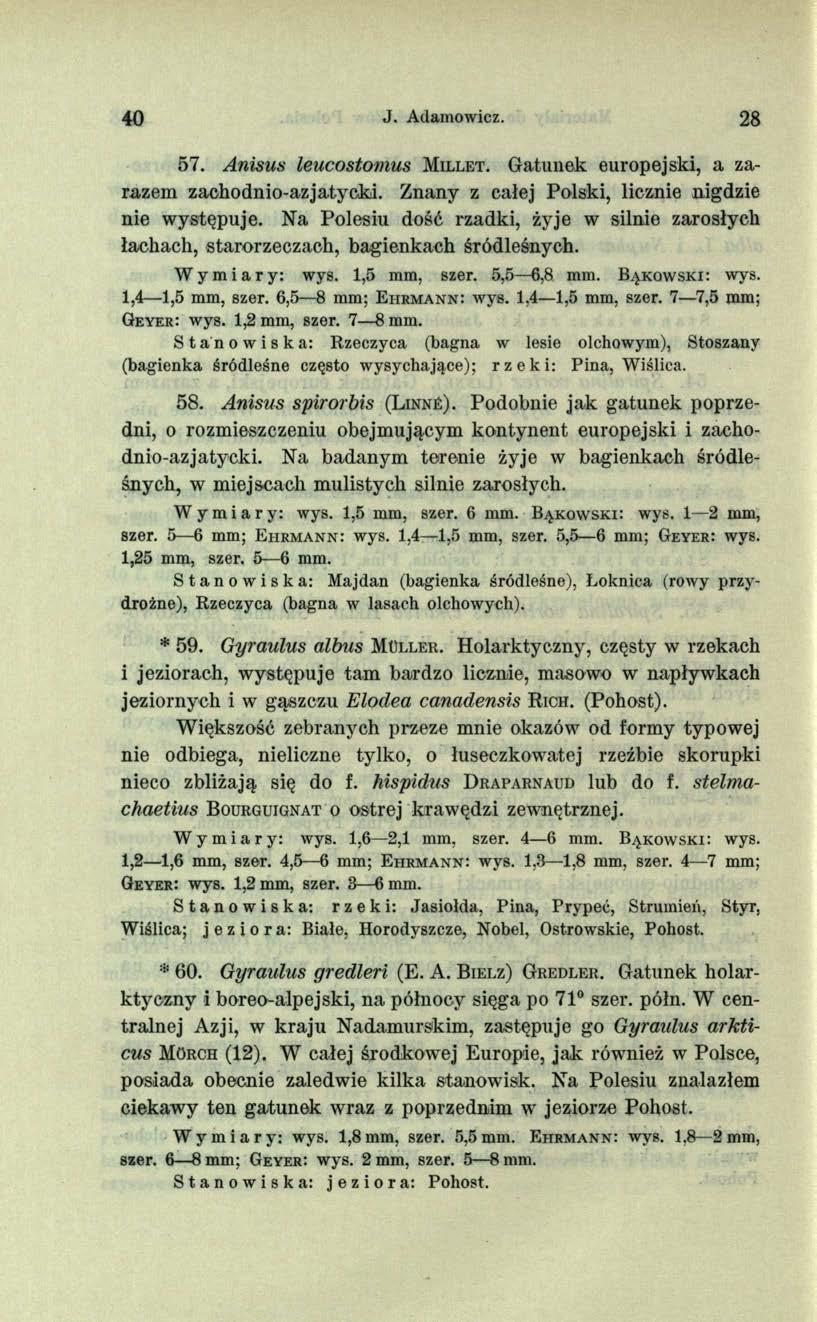 40 J. Adamowicz. 28 57. Anisus leucostomus M il l e t. Gatunek europejski, a zarazem zachodnio-azjatycki. Znany z całej Polski, licznie nigdzie nie występuje.