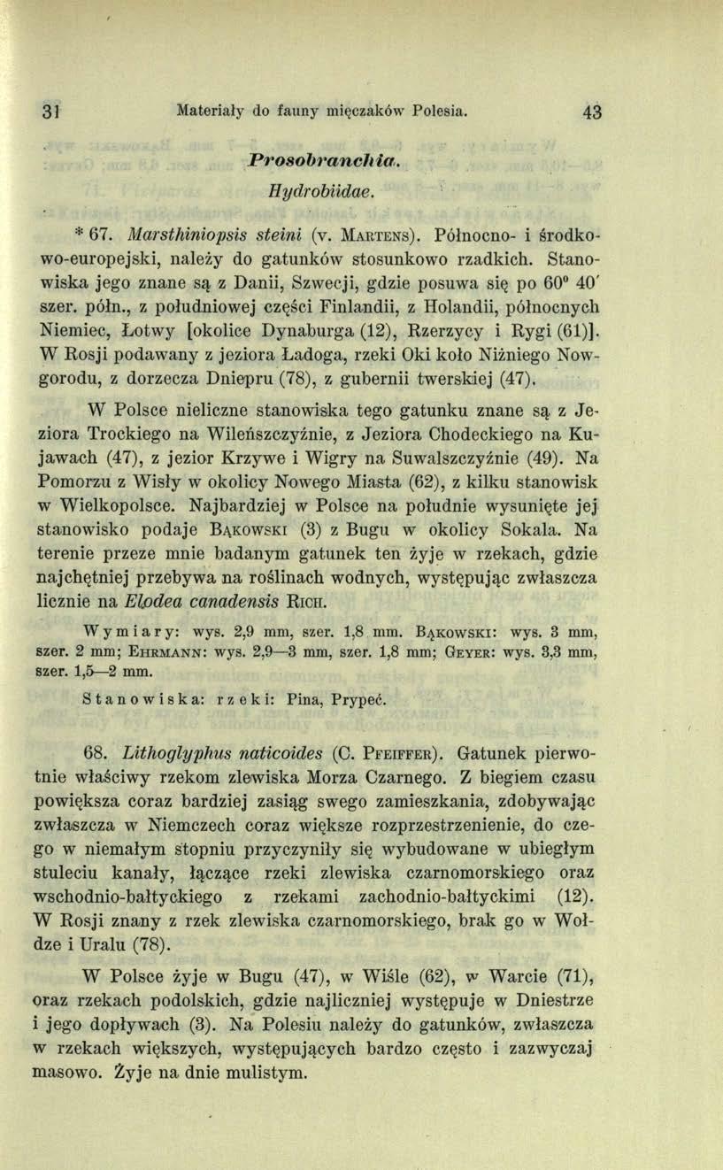 31 Materiały do fauny mięczaków Polesia. 43 Prosohranch ia. Hydrobiidae. * 67. Marsthiniopsis steini (v. M artens). Północno- i środkowo-europejski, należy do gatunków stosunkowo rzadkich.
