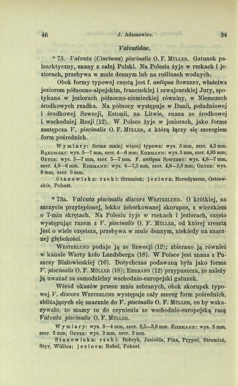 46 J. Adamowicz. 34 Valvatidae. * 73. Valvata (Cincinna) piscinalis O. F. M ü l l e r. Gatunek palearktyczny, znany z całej Polski.