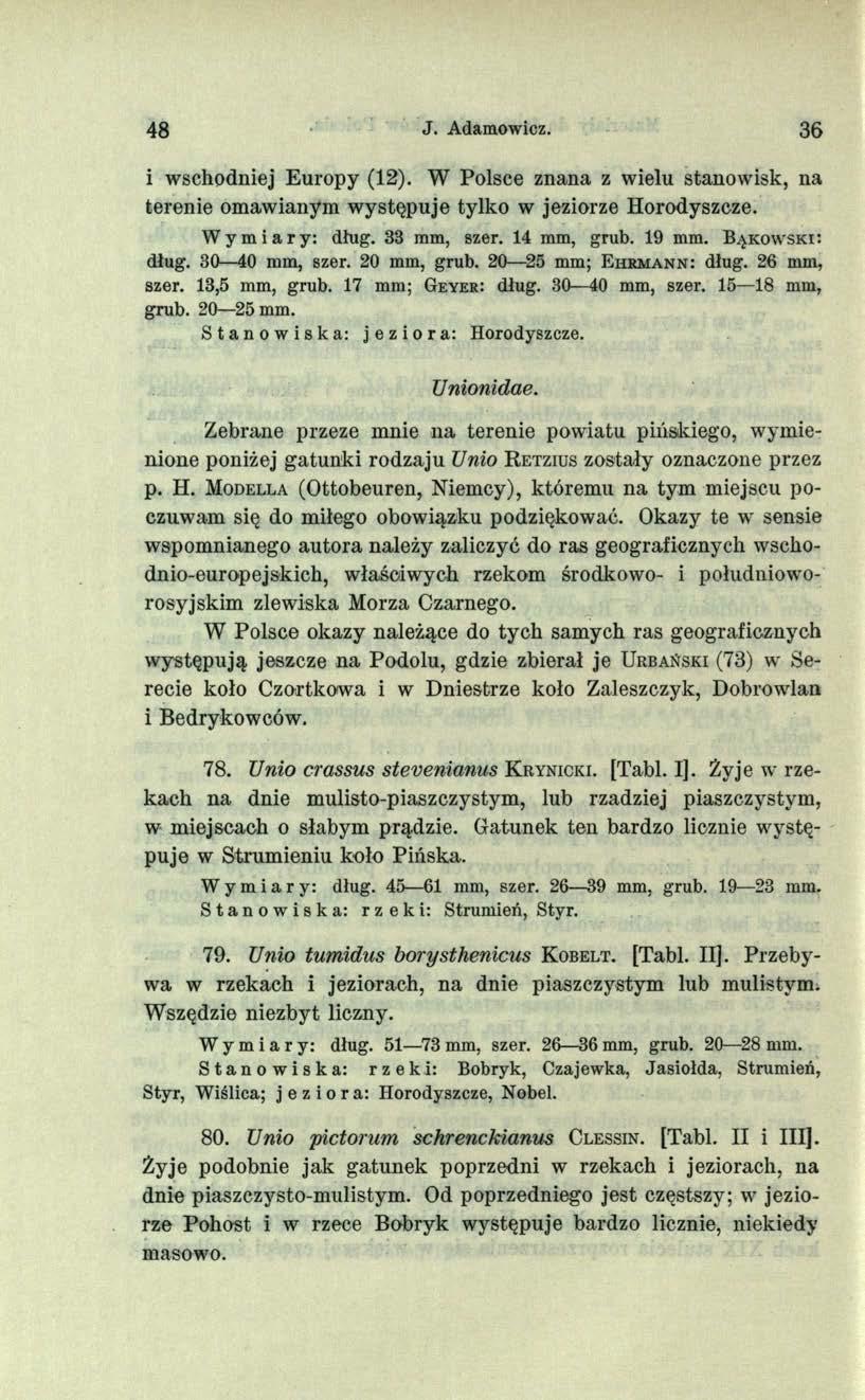 48 J. Adamowicz. 36 i wschodniej Europy (12). W Polsce znana z wielu stanowisk, na terenie omawianym występuje tylko w jeziorze Horodyszcze. Wymiary: dług. 33 mm, szer. 14 mm, grub. 19 mm.