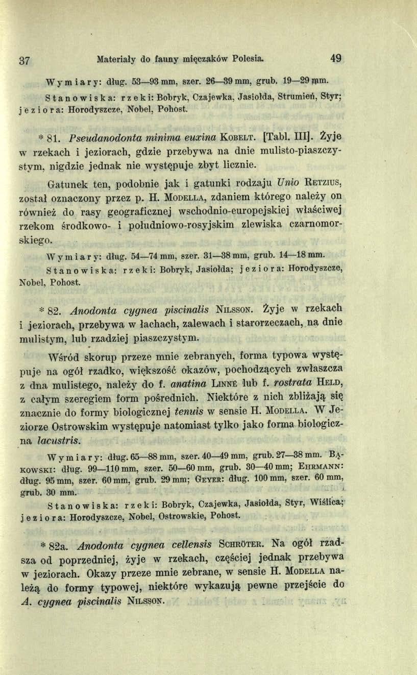37 Materiały do fauny mięczaków Polesia. 49 Wymiary: dług. 53 93 mm, szer. 26 39 mm, grub. 19 29 д а т.