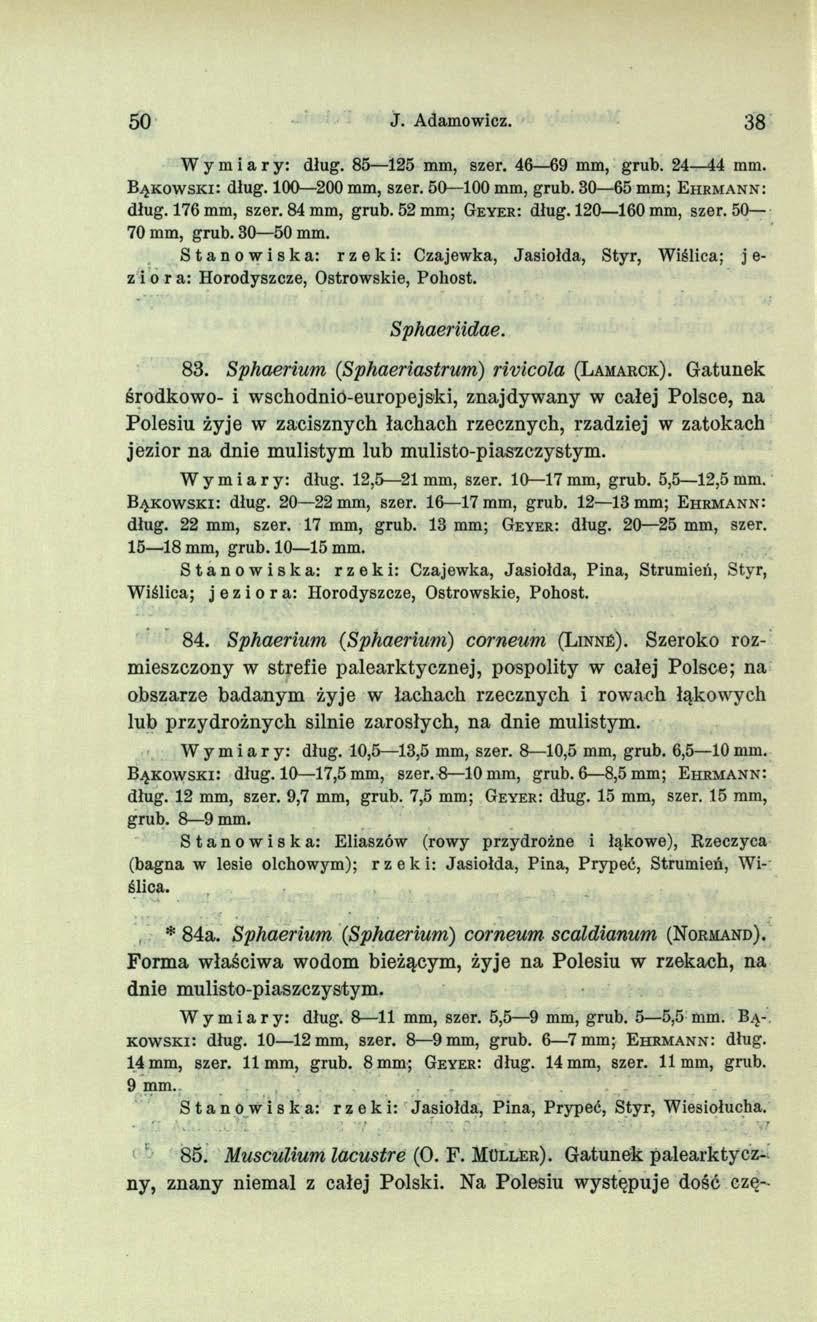 50 J. Adamowicz. 38 Wymiary: dług. 85 125 mm, szer. 46 69 mm, grub. 24 44 mm. B y k o w s k i: dług. 100 200 mm, szer. 50 100 mm, grub. 30 65 mm; E h r m a n n : dług. 176 mm, szer. 84 mm, grub.