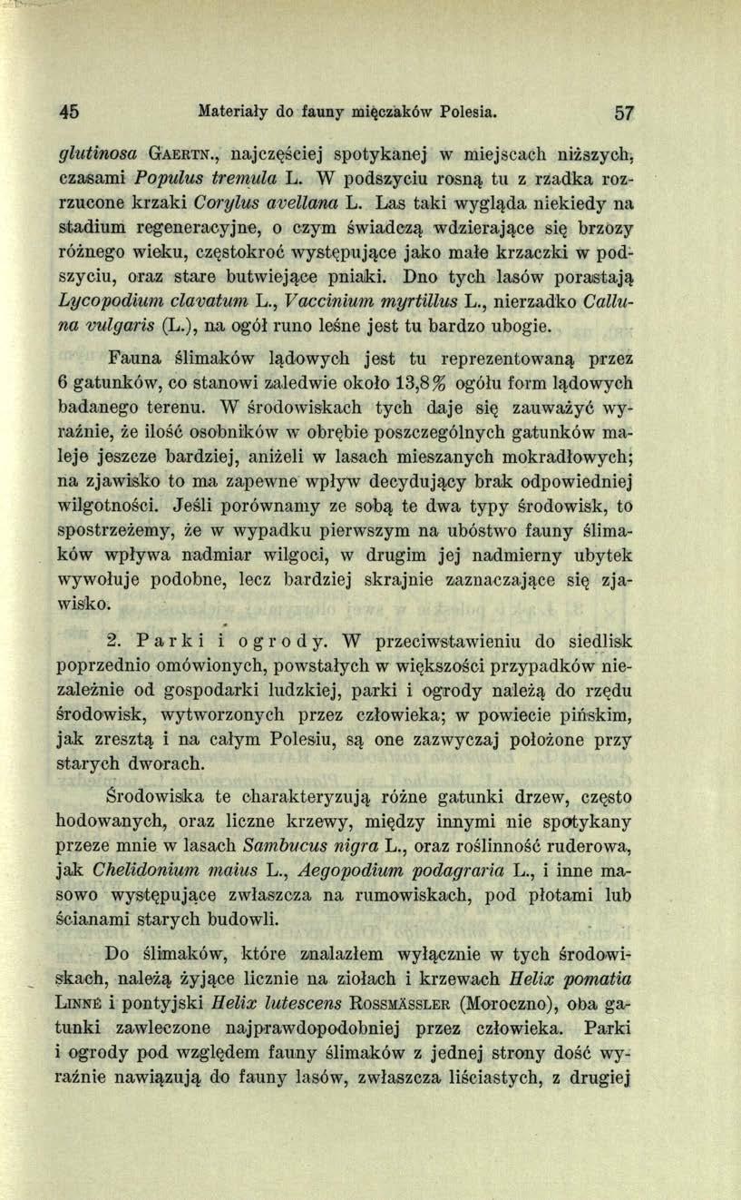 45 Materiały do fauny mięczaków Polesia. 57 glutinosa G a e r t n., najczęściej spotykanej w miejscach niższych, czasami Populus tremula L.