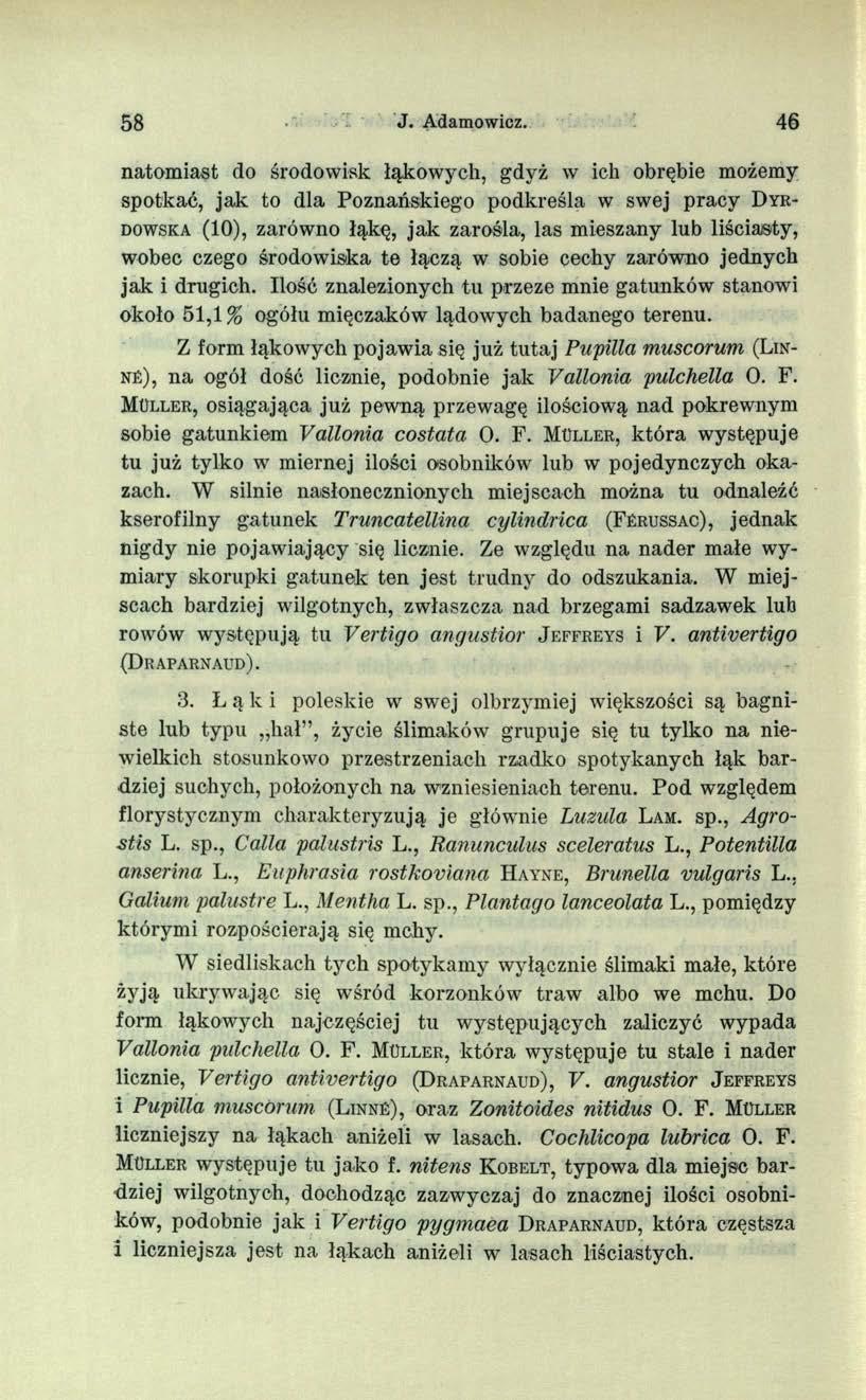 58 J. Adamowicz.