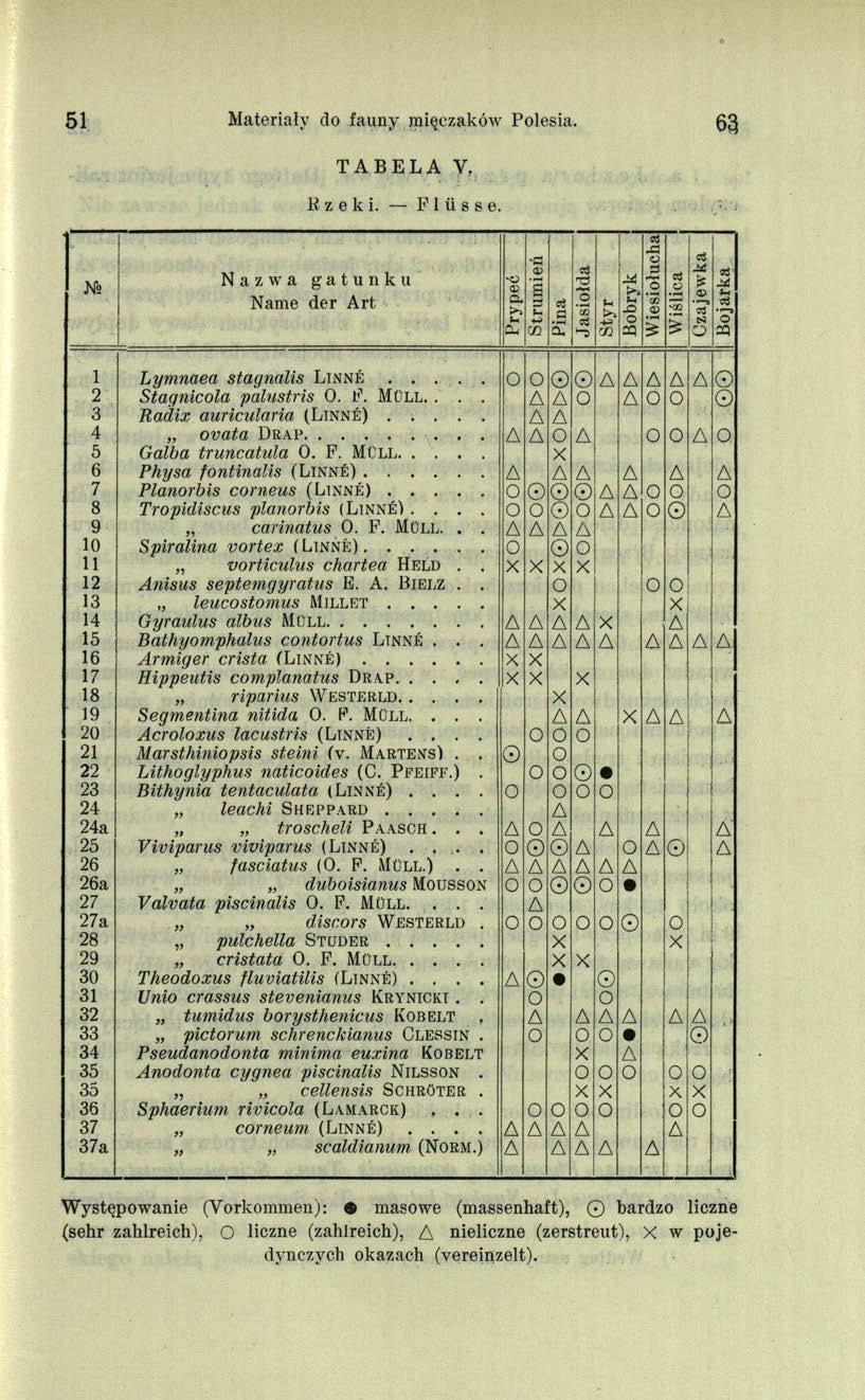 51 Materiały do fauny mięczaków Polesia. 63 TABELA Y. К z e к i. Flüsse.
