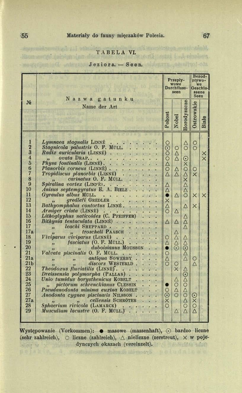 55 Materiały do fauny mięczaków Polesia. 67 TABELA VI. Jeziora. Seen.