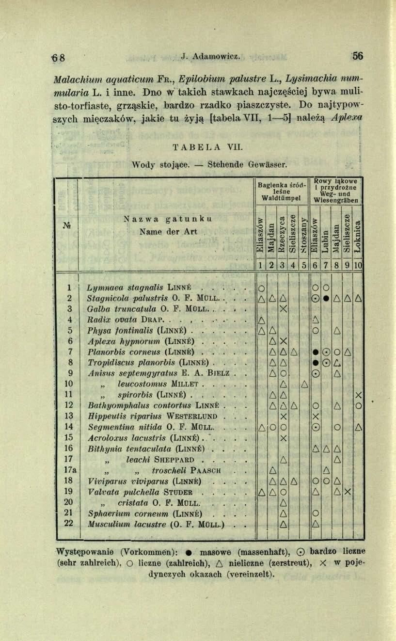 6 8 J. Adamowicz. 56 Malachium aquaticum F r., Epilobium palustre L., Lysimachia nummularia L. i inne. Dno w takich stawkach najczęściej bywa mulisto-torfiaste, grząskie, bardzo rzadko piaszczyste.