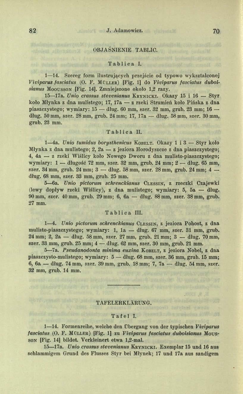 82 J. Adamowicz. 70 OBJA ŚNIENIE TABLIC. Tablica I. 1 14. Szereg form ilustrujących przejście od typowo wykształconej Viviparus fasciatus (O. F. M ü ll er) [Fig.