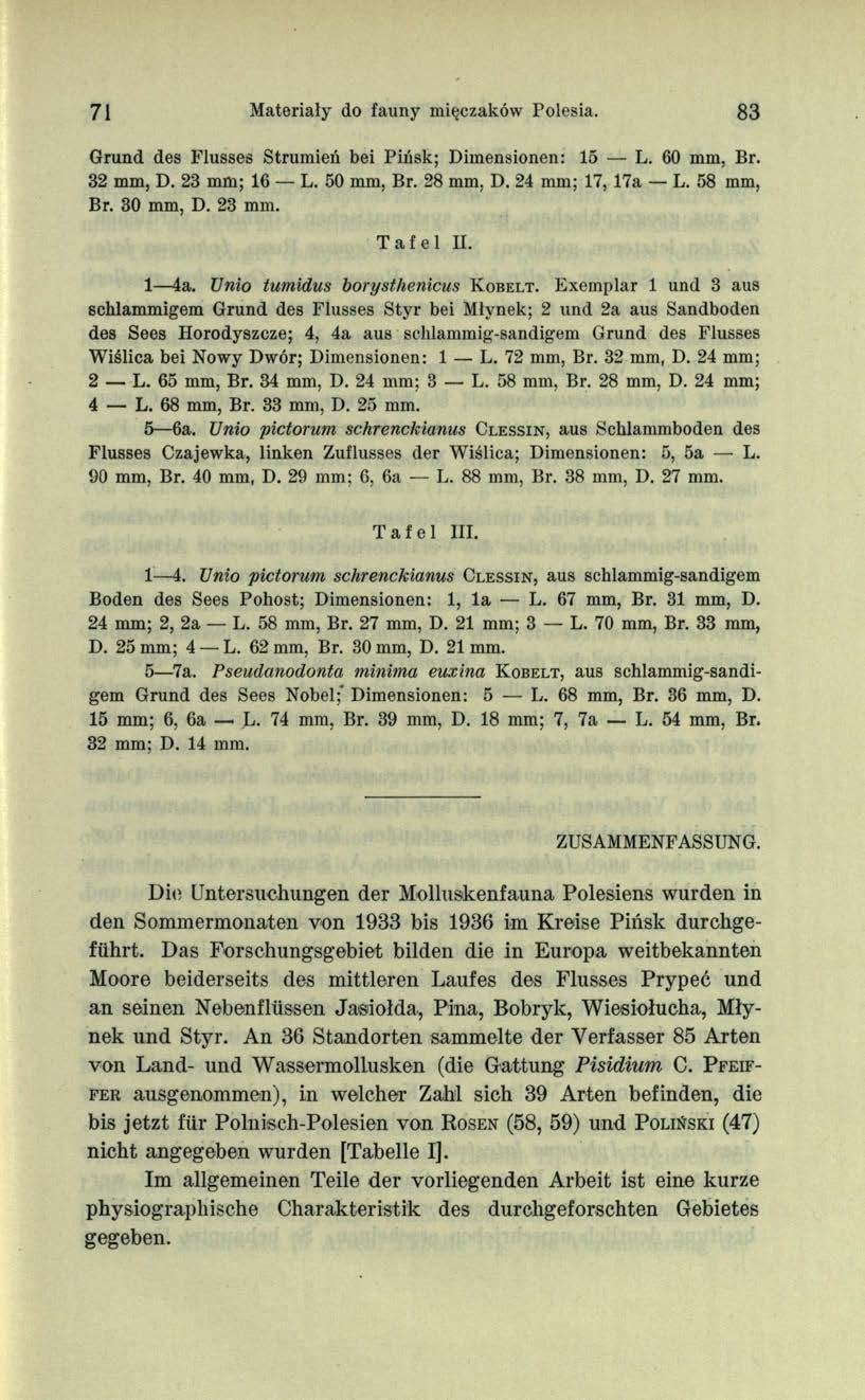 71 Materiały do fauny mięczaków Polesia. 83 Grund des Flusses Strumień bei Pińsk; Dimensionen: 15 L. 60 mm, Br. 32 mm, D. 23 mm; 16 L. 50 mm, Br. 28 mm, D. 24 mm; 17, 17a L. 58 mm, Br. 30 mm, D.