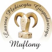 nagrody: XIX Plebiscytu Gospodarczego MUFLONY 2016 12 maja 2017,