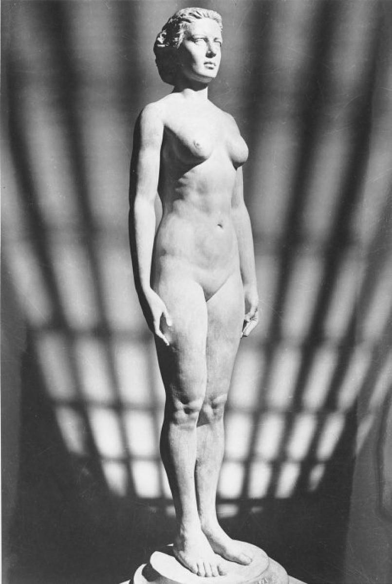 Błędny ideał Rzeźba ta nazywa się Norma i miała prezentować "idealny" kształt ciała kobiety. To jest średni rezultat pomiarów ciała 15.000 młodych dorosłych kobiet przez znanego ginekologa z USA Dr.