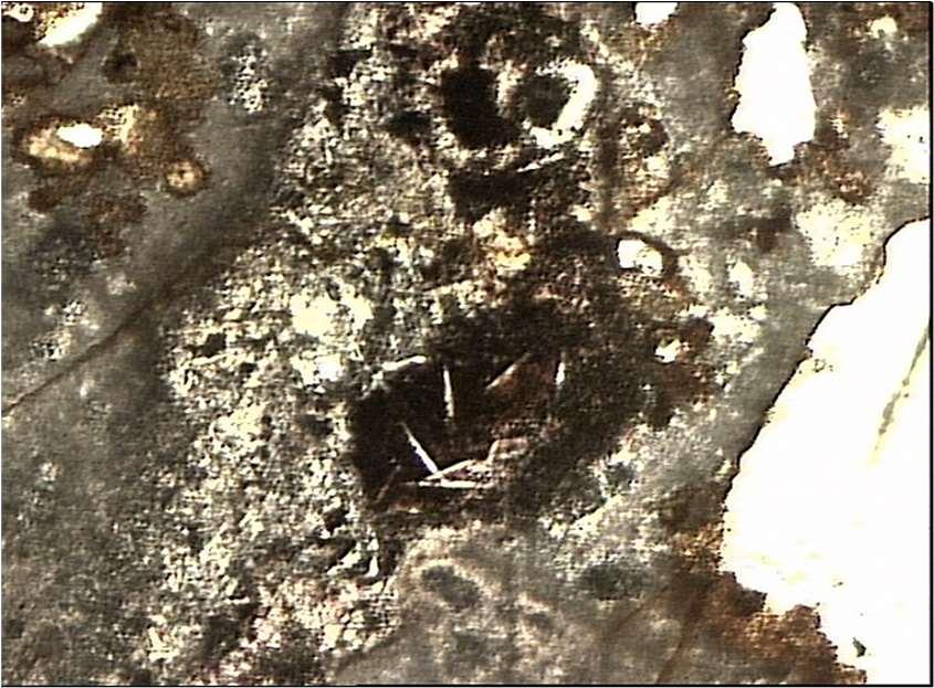 W zewnętrznej części próbki 1 (podróbka 1z) stwierdzono obecność szarobeżowej masy podstawowej, w której występowały liczne minerały nieprzeźroczyste, głównie o nieregularnych kształtach.