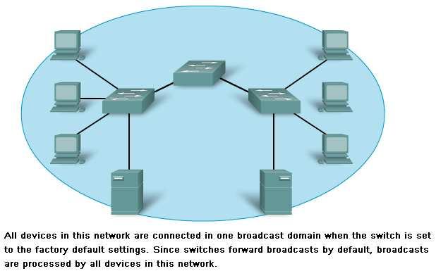 Grouping Devices into Networks