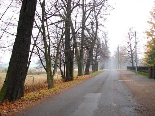 1/N ALEJA LIPOWA WZDŁUŻ ULICY CMENTARNEJ XIX w. E N A K Ł O Ś L Ą S K I ul.