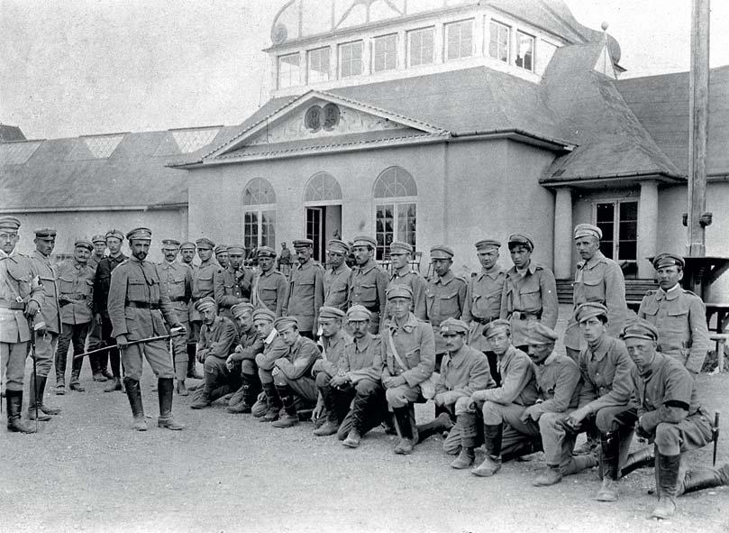 W przededniu wybuchu I wojny światowej organizacje strzeleckie skupiały 7 239 przeszkolonych wojskowo członków.