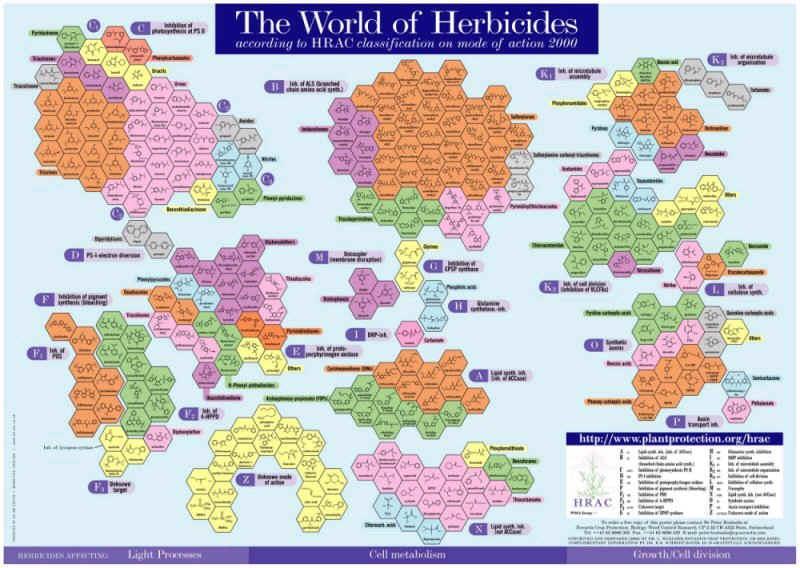 Mechanizm działania wg HRAC Herbicide Resistance Action Committee (HRAC) http://www.weedscience.