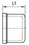 02-ES Nakrętki sześciokątne ze stali nierdzewnej, PN 20 bar L1 SW 265.01-ES 1/8 6,2 14 265.