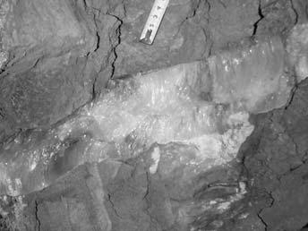 A drift excavation perpendicular to the lengthwise run of the deposit from the cave Stanetti to the N end of the deposit.