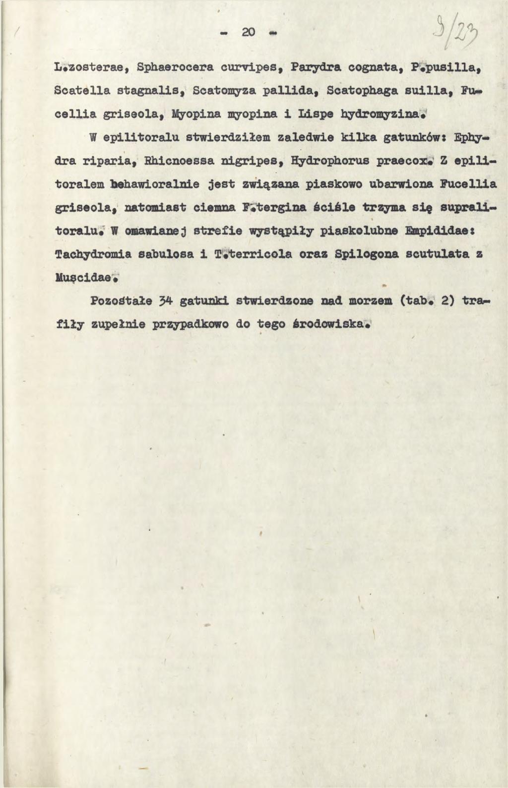 L*zosterae, Sphaerocera curvipes, Parydra cognata, P#pusilla, Scat alla stagna lis, Scatomyza pallida, Scatophaga suilla, Fu** cellia griseola, Myopina myopina i Lispe hydromyzina* W epilitoralu