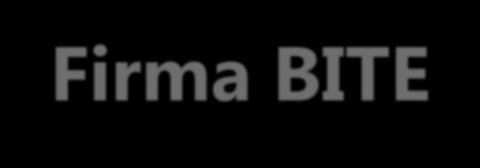 Firma BITE Lider na rynku oprogramowania dla firm ochroniarskich w krajach niemieckojęzycznych 1995r.