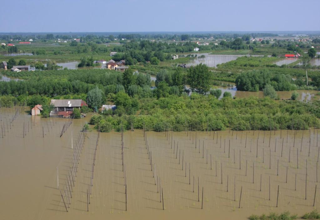 Fot. nr 1 Zalana gmina Wilków na