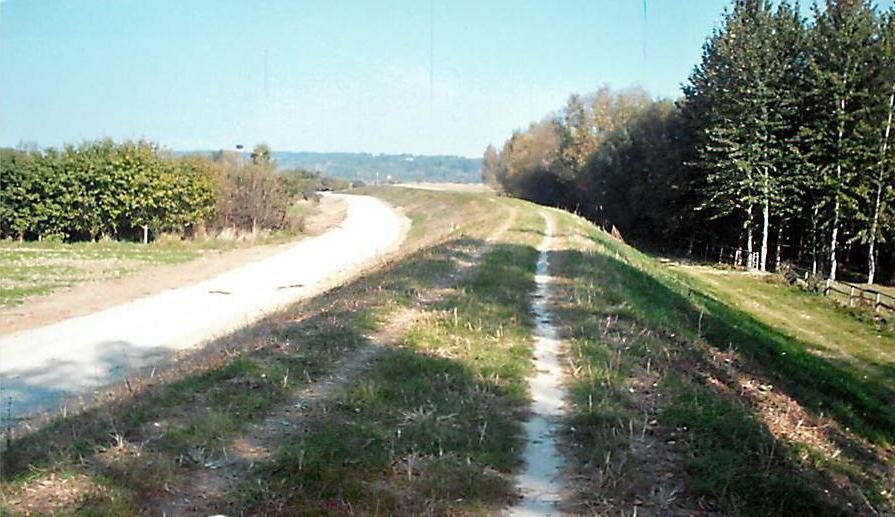 Fot. nr 24 Modernizacja (rozbudowa) wstecznego wału p.pow. rzeki Sanny na dł.