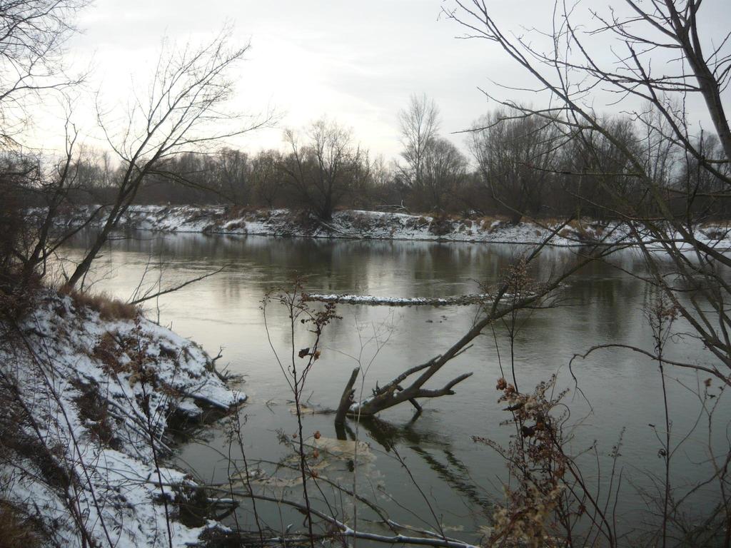 Fot. nr 44 Uszkodzony brzeg rzeki Wisły