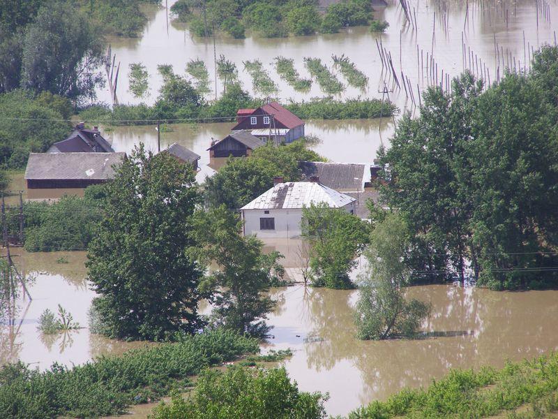 Fot. nr 4 Zalana gmina Wilków na