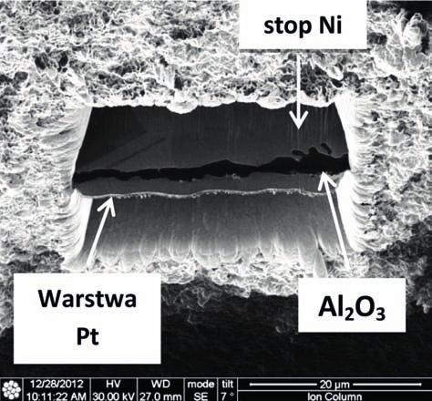 Mikrostruktura powierzchni warstwy tlenkowej powstałej na żarowytrzymałym stopie niklu w temperaturze 1050 o C w czasie 100 godzin z osadzoną warstwą ochronną Pt na obszarze wytypowanym do pobrania