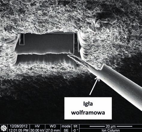 Surface microstructure of the oxide scale that formed on a heat resistant nickel alloy at 1050 o C in 100 hours with the deposited Pt protective layer on the region selected for thin foil (lamella)