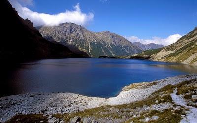 Flore La Basse Silésie possède une flore bien diversifiée une fois qu elle partage les espèces de l Europe