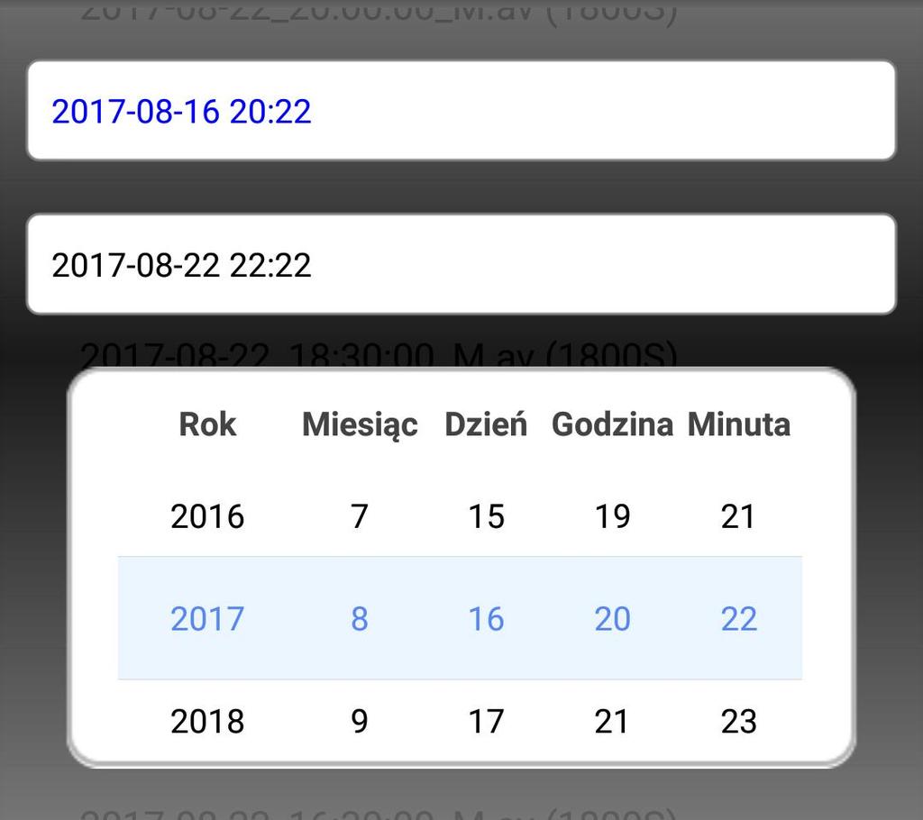 roku/miesiąca/dnia/godziny/minuty