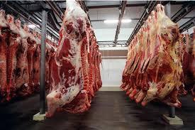 2. Badanie zwierząt rzeźnych i mięsa.