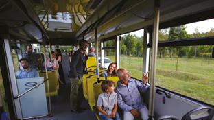 Największymi krajowymi odbiorcami Urbino w roku 2016 było MPK Kraków (77 sztuk, w tym 5 autobusów elektrycznych i 12 autobusów hybrydowych), Mobilis Warszawa (54 autobusy Urbino 8,9 LE) oraz Arriva