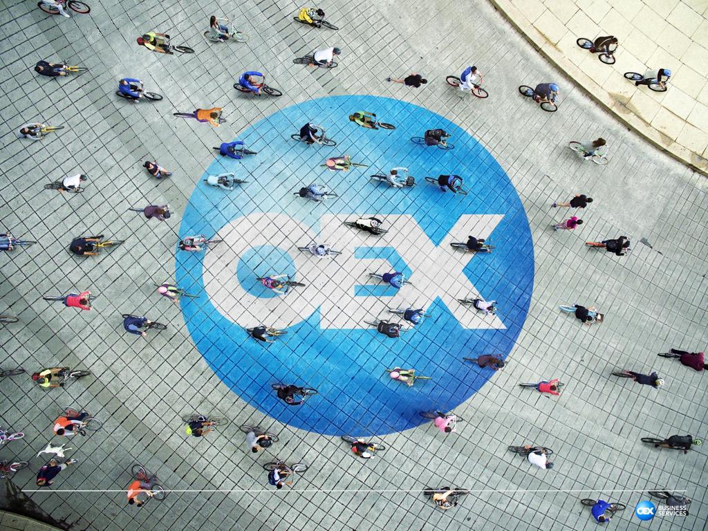 3 Grupa OEX zatrudnia ponad 1100 pracowników etatowych Wszystkie formy zatrudnienia
