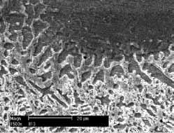 Rys. 9. SEM, mikrostruktura napoiny wykonanej z proszku Eu- TroLoy 16006; obszar linii wtopienia Fig. 9. SEM, microstructure of padding weld made using Eu- TroLoy 16006; fusion line area Rys.