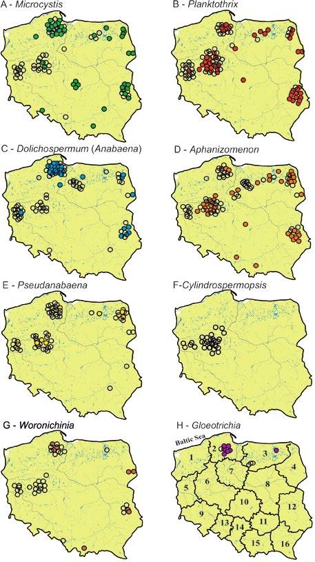 362 Justyna Kobos et al. collision energy spread (CES) of 20 V. Data acquisition and processing were accomplished using Analyst QS 1.5.1 software.