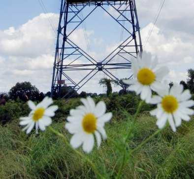 NILU Polska projekty dla energetyki NILU Polska projekty dla energetyki Określanie aspektów środowiskowych wprowadzania czystych technologii