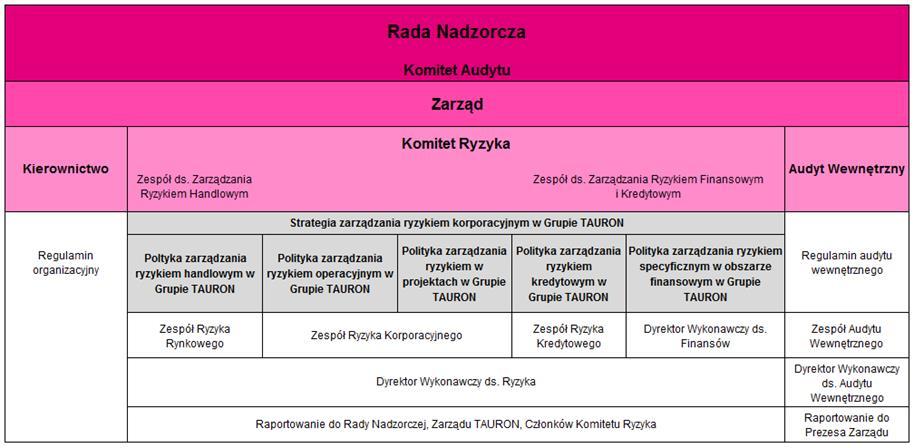 obszaru ryzyka finansowego i kredytowego. Komitet Ryzyka nadzoruje bezpośrednio realizację procesu zarządzania ryzykiem korporacyjnym.
